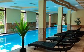 Dorina wellness